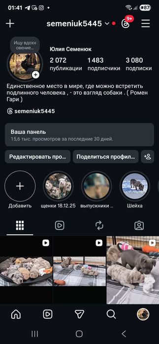 Топ цуценята в типі єкстрім та покет.