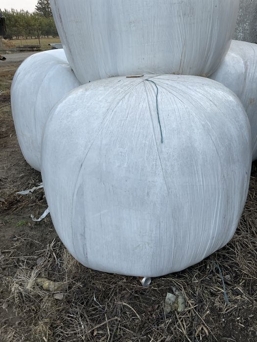 Sianokiszonka gorzowska 1 pokos