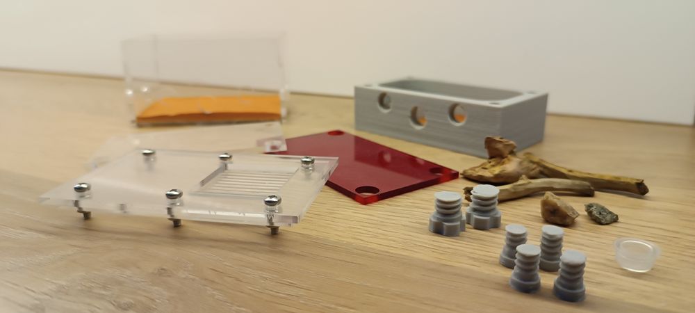 Formikarium dla mrówek