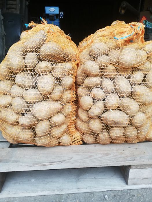 Ziemniaki smaczne i świeże