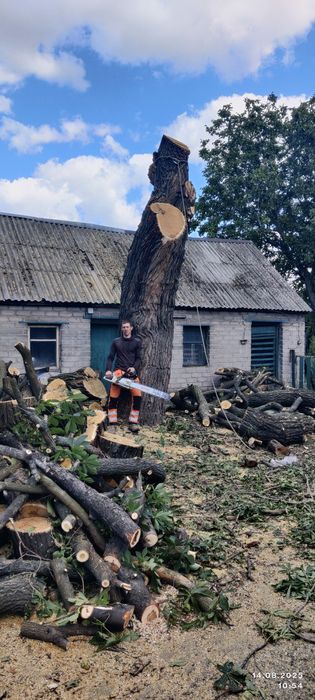 Спил, обрезка. Измельчение веток.