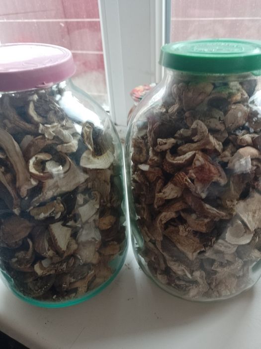 Продам білі гриби