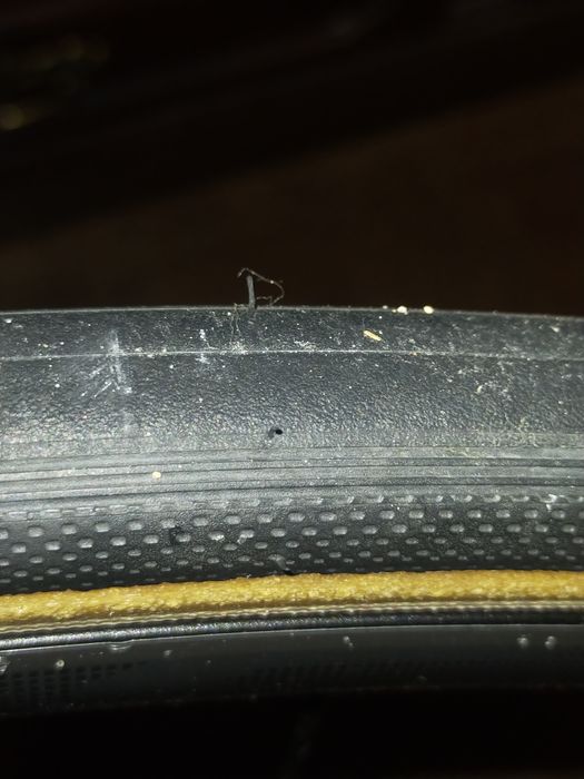 Scott Addict 10 disc 2020