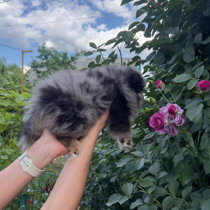 Неймовірний хлопчик