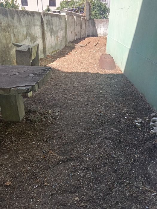 Limpeza de quintais e terrenos na zona de Lisboa