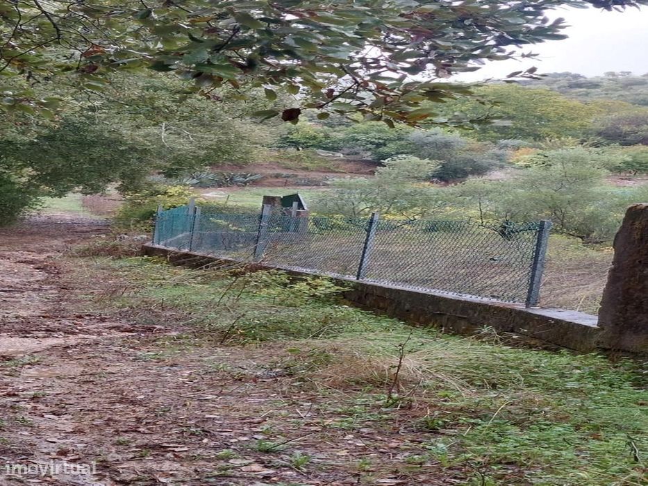 O Seu Refúgio de Sonho com Riacho e Olival a 15min de Torres Novas
