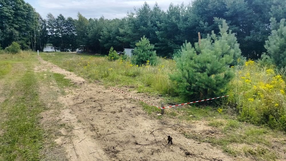 Działka budowlana przy jeziorze, Bory Tucholskie, WZ, media - Widok 4