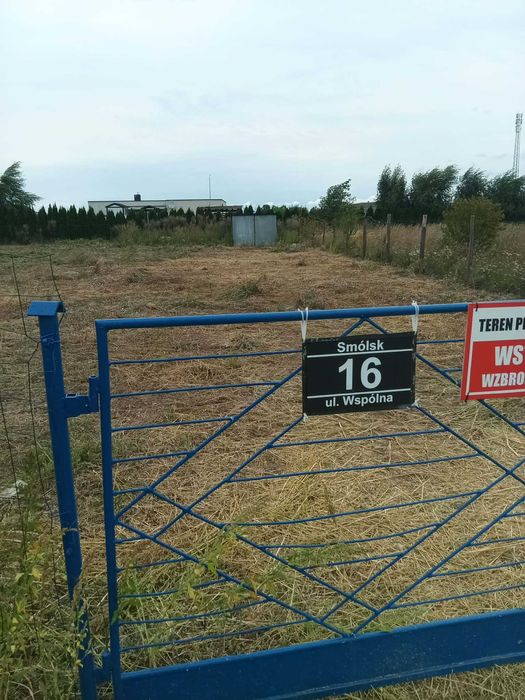 Działka Smólsk gm Włoclawek
