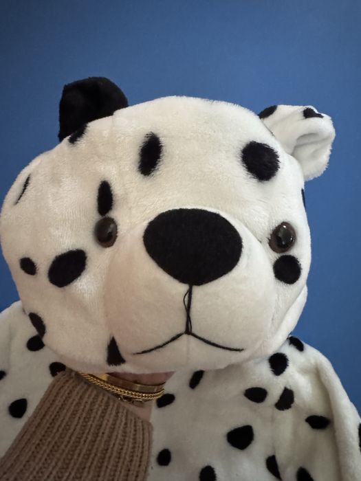 Przebranie pieska halloween  r 80/86