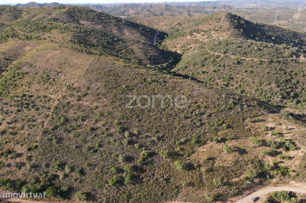 Terreno com mais de 30ha no Pego Escuro em Messines