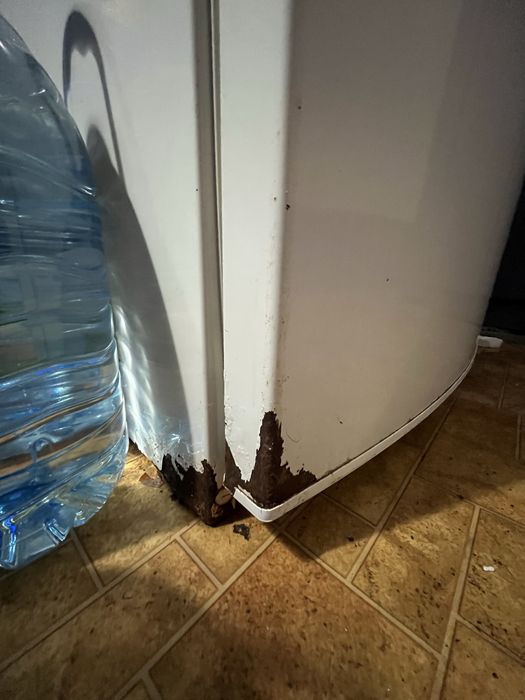 Холодильник zanussi