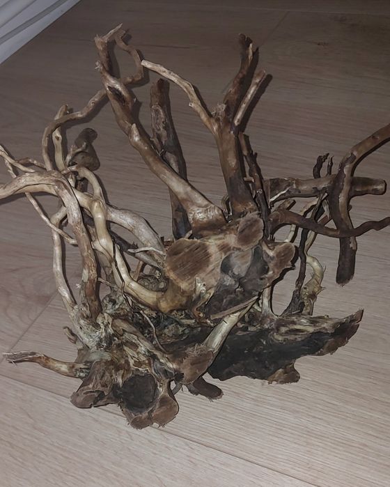 Korzeń Red Moor do akwarium