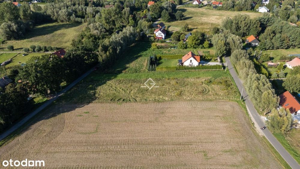 Drewnica | 2107 m² | Żuławy Wiślane