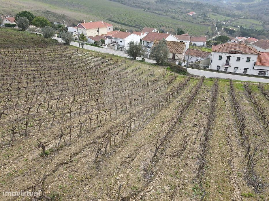 Terreno  para venda