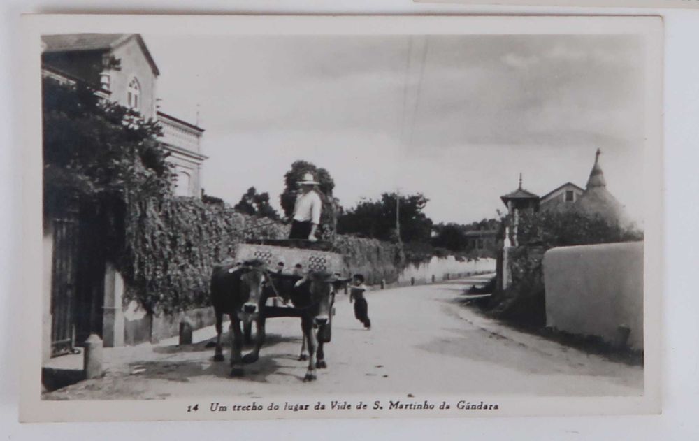 Conjunto de 7 postais antigos de São Martinho da Gândara