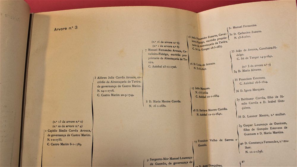 Arvores de Costado genealogia de Simão de Gusmão Correia Arouca