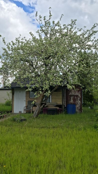 Sprzedam ogródek działkowy (MALWA I) - zielona oaza z dużym potencjałem - Widok 2