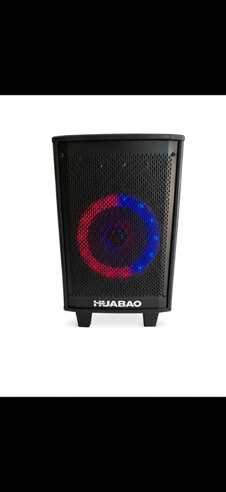 Głośnik karaoke Bluetooth HUABAO z 2 mikrofonami bezprzewodowymi