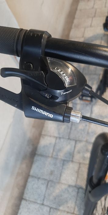 Rower Licorne Strong 29"