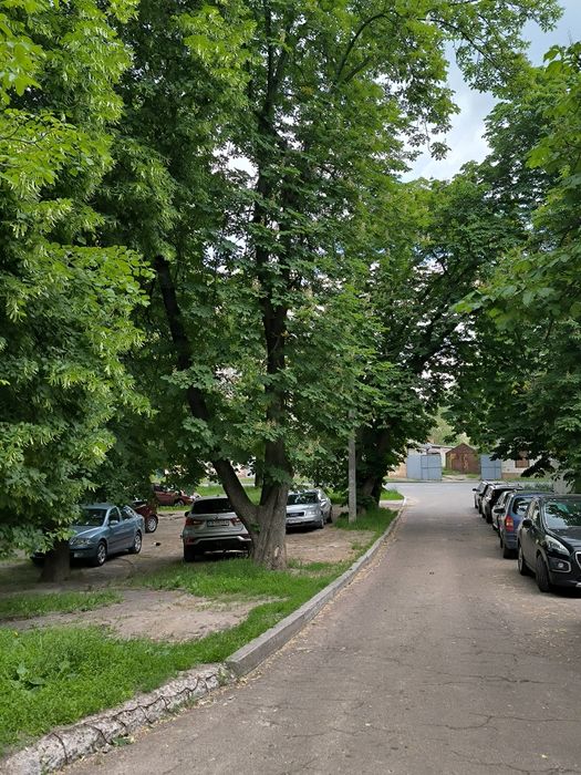 Простора 4-Кімнатна Квартира В Центрі  Чернігова