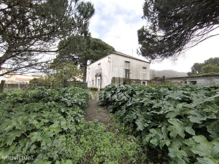 Quinta com terreno em zona de construção - Darque