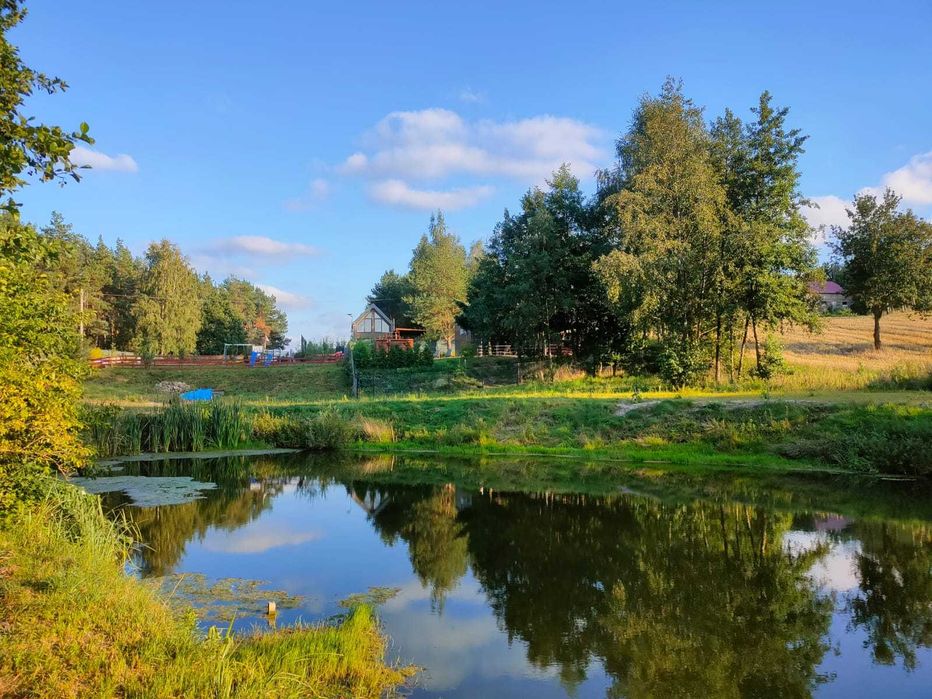 Leśny Staw 2! Domek ! Baliia SPA!