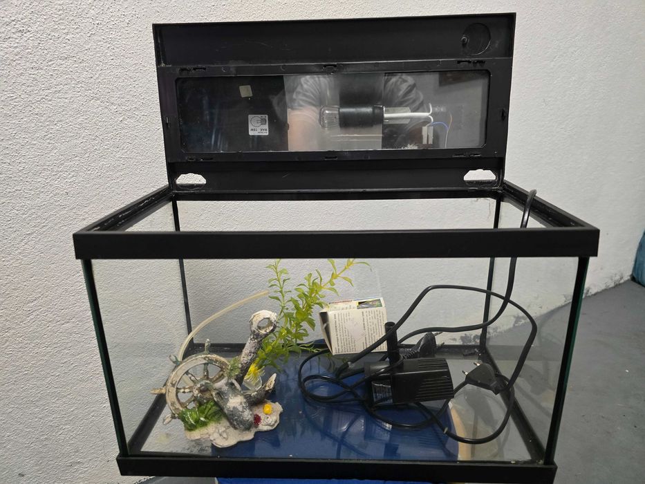 Aquario para peixes com acessorios