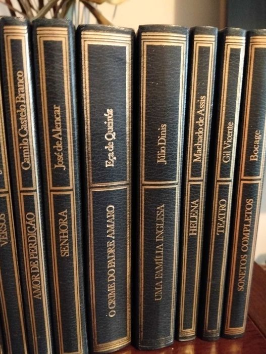 Livros dos melhores autores portugueses