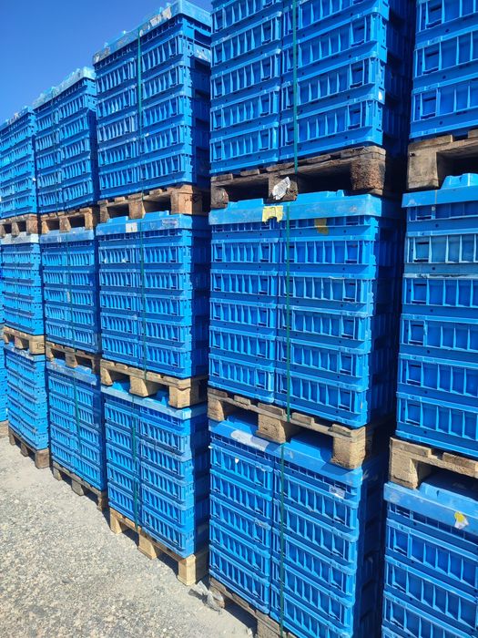 KLT 4314 pojemniki magazynowe skrzynki plastikowe transportowe box