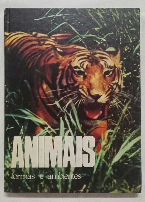 O Homem no seu mundo