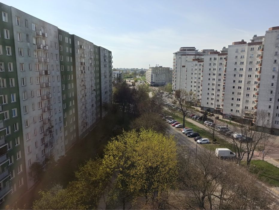 Zdjęcie 8