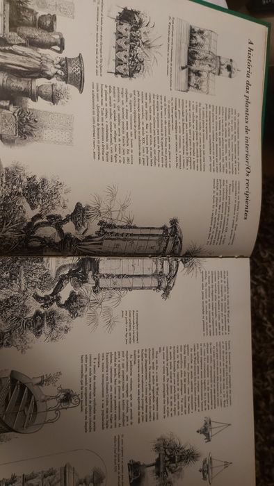 O Jardim em sua Casa de George Seddon