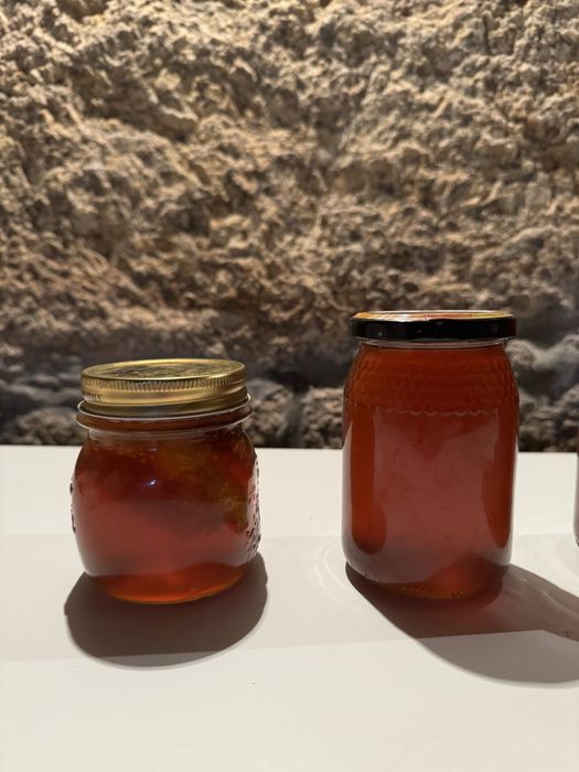 Mel Biologico Puro da Montanha