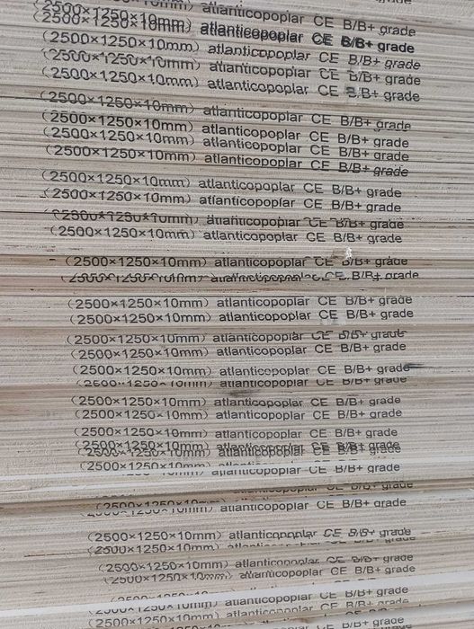 Contraplacado Choupo Atlantico Poplar B+/B