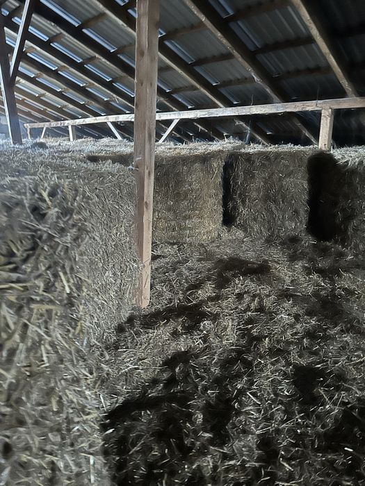 Słoma w belach 2025