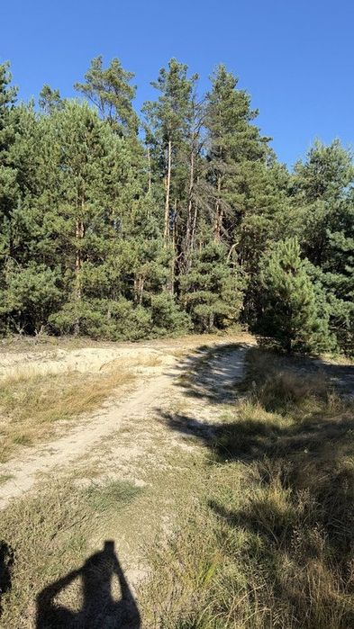 Продам масив землі 26 Га. С. Фасова. Без комісіі для Покупця