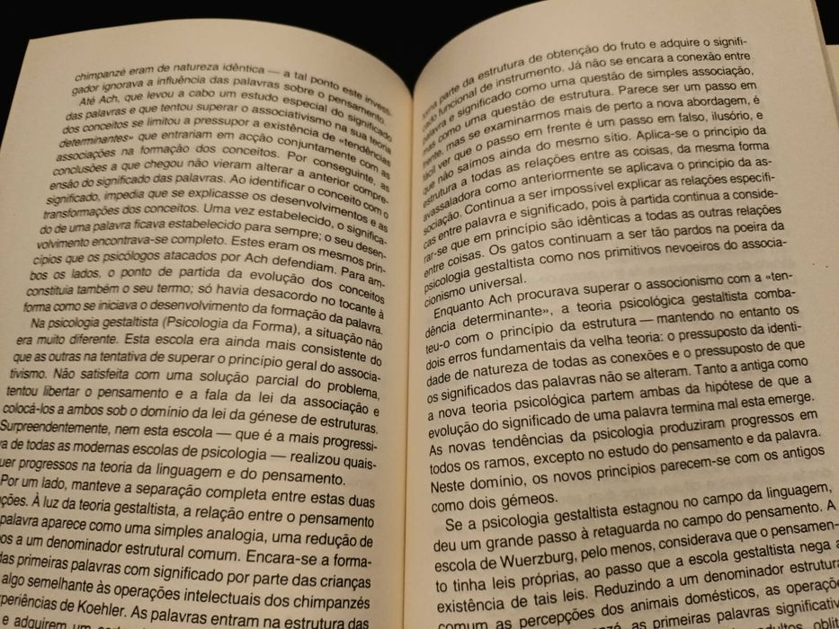 "Pensamento e Linguagem" por L.S. Vygotsky