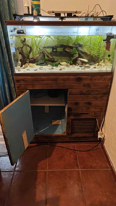 Aquario, filtro externo, termóstato, termómetro, substrato, iluminação