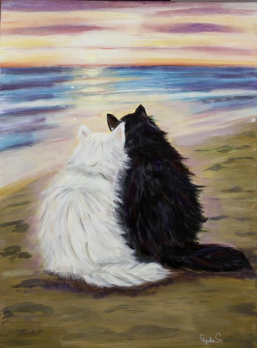 Obraz akrylowy 55x75 cm , koty , zachód słonca