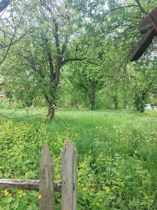 Продається будинок в с.Кожухівка