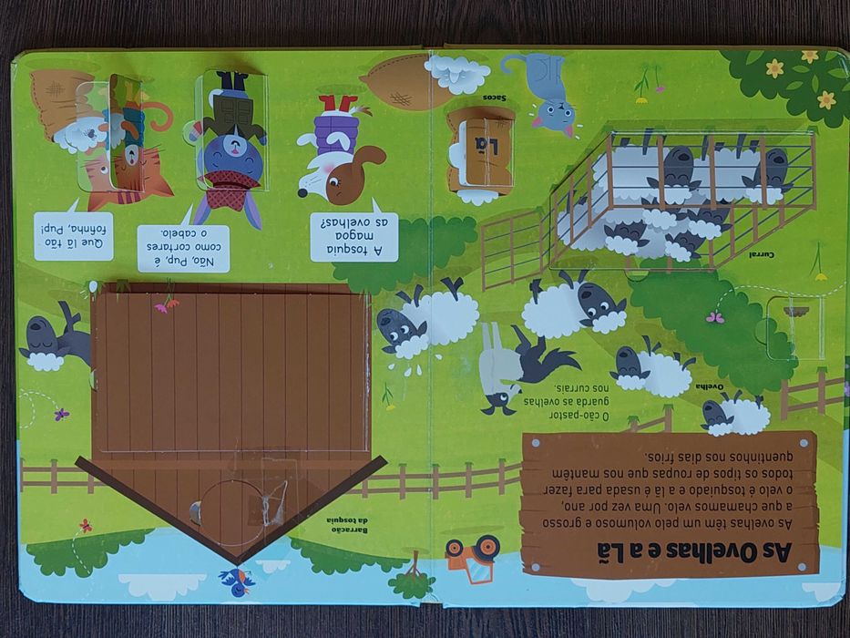 Livro infantil com janelas - A Quinta