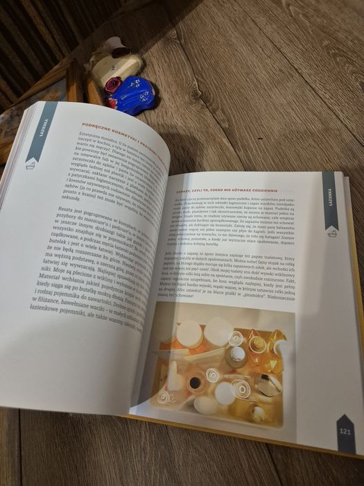 Książka Ula Pedantula pozamiatane