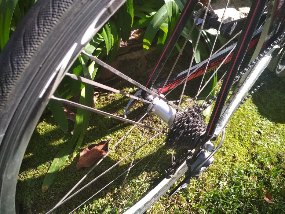 Rodas de estrada Campagnolo Zonda (10-11v)