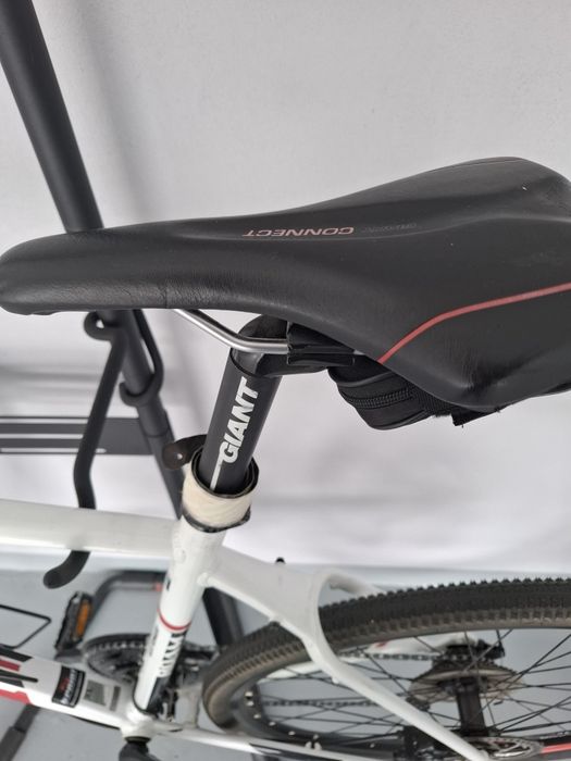 Rower crossowy Giant Roam Disc