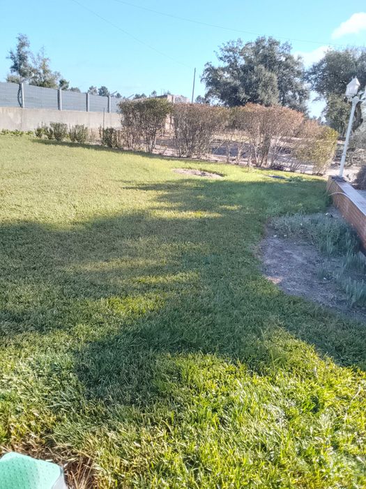 Construção e manutenção de jardins