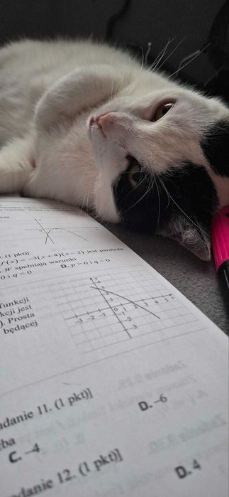 Korepetycje z matematyki? Przygotuj się ze mną!
