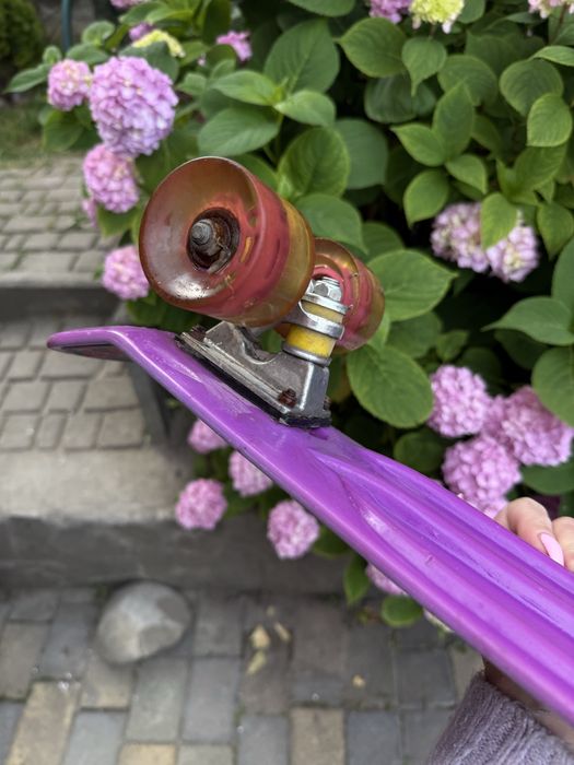 Скейт Пенні борд Penny board з малюнком для дітей і підлітків Фіолетовий