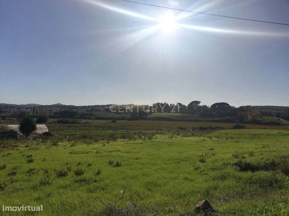 Terreno Rústico Excelente Vista Serra de Montejunto