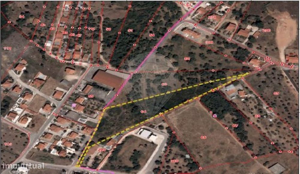 Terreno  para venda — Madalena E Beselga, Santarém