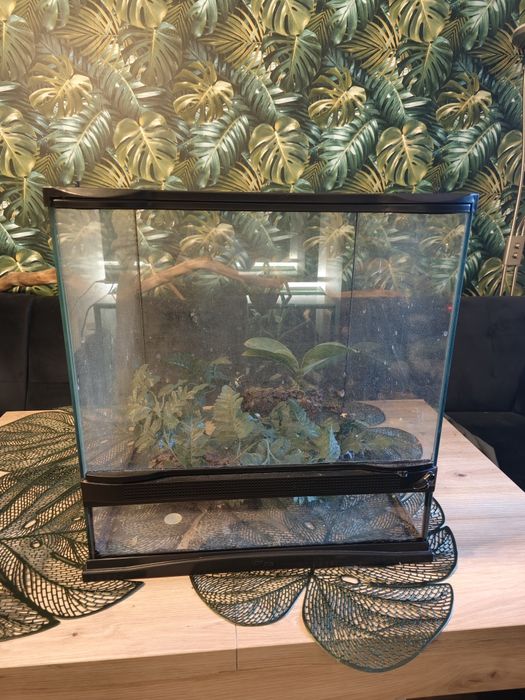 Terrarium zoo med kostka 45x45x45